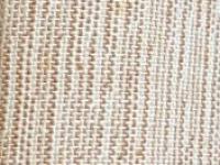 Dorso © Münster - Santini-Bibliothek