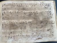 Incipit © Münster - Santini-Bibliothek