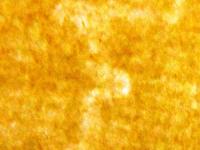 Filigrana costituita dalla lettera &quot;F&quot;