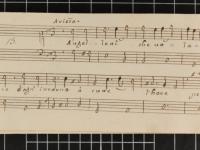 © Modena – Biblioteca Estense e Universitaria