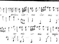 © Venezia – Venezia - Biblioteca della Fondazione Querini Stampalia onlus