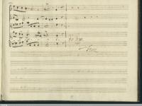 Conclusione ultima pagina