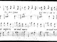 © Venezia - Biblioteca della Fondazione Querini Stampalia onlus