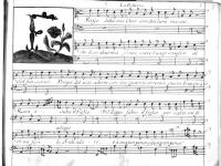 © Bruxelles - Conservatoire Royal, Bibliothèque