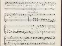 © Bruxelles - Conservatoire Royal, Bibliothèque