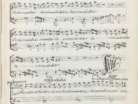 © Bruxelles - Conservatoire Royal, Bibliothèque