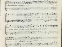 © Bruxelles - Conservatoire Royal, Bibliothèque