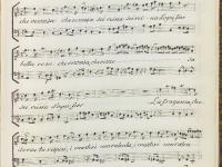 © Bruxelles - Conservatoire Royal, Bibliothèque