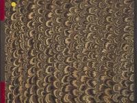 © Bruxelles - Conservatoire Royal, Bibliothèque