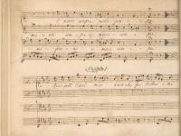 © Bruxelles - Conservatoire Royal, Bibliothèque