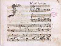 © Bruxelles - Conservatoire Royal, Bibliothèque