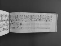 Immagine relativa al particolare della filigrana