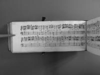 Nell'immagine è presente la filigrana di una stella entro un cerchio sormontato da corona.