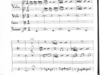 © Bruxelles - Conservatoire Royal, Bibliothèque