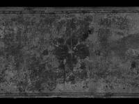 © Bruxelles - Conservatoire Royal, Bibliothèque