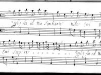 © Bruxelles - Conservatoire Royal, Bibliothèque