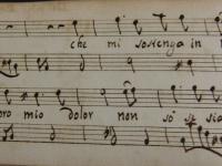 © Bruxelles - Conservatoire Royal, Bibliothèque