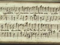 Pupillette voi partite