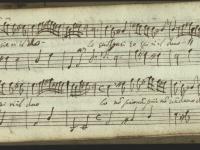 Tronchisi pensieri il volo