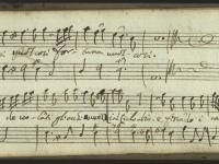 La regina de volanti