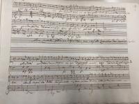 Andate o miei sospiri