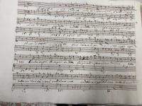 Andate o miei sospiri