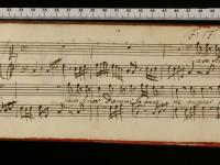 Caro Amor dammi la pace