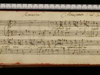 Almansorre in Alimena. Voglio caro sì sì voglio