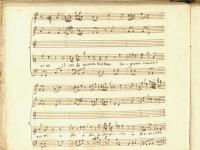 Belle mie calde lacrime