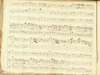 Misero pargoletto il tuo destin non sai