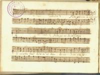 Pellegrino io son d'amore