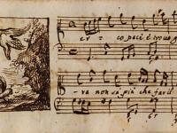 Cerco pace e trovo guerra