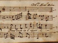 Provo ancor io il rigor