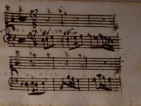 Se tal hor curiose pupille