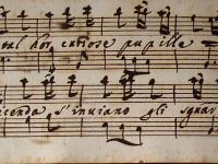 Se tal hor curiose pupille