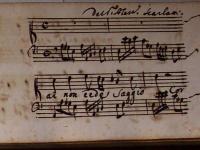 Mai non cede saggio cor