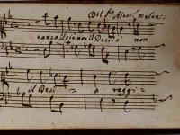 Stanco il piè non il desio