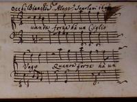 Quanta forza ha un ciglio vago