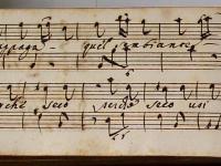 Se t'appaga quel sembiante