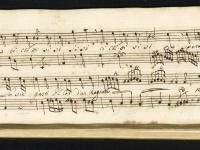 Tu speranza ci colpi