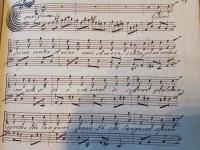 Come fiume senza arene