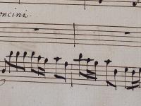 Chiechi orror, selve romite