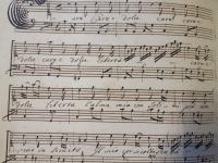 Cara e dolce libertà