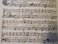 Cara sei tanto bella