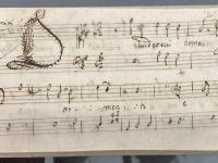 Dividetevi homai gioie e tormenti