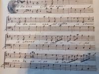 Chi ben ama una sola volta