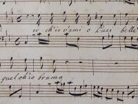 Dir ch'io v'ami o luci belle