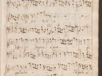 Soffri o cor sospira e piangi