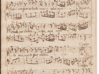 Anche i tronchi anche le rupi