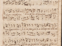 Crudo Amor saper vorrei